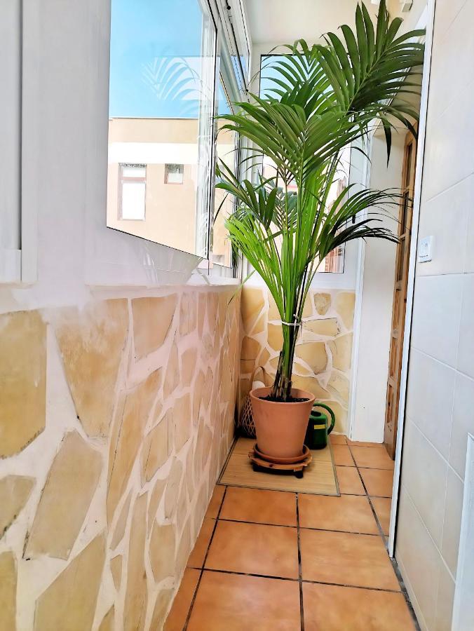 Apartamento Vida Mediterranea Apartment Puerto de la Cruz  Exterior photo